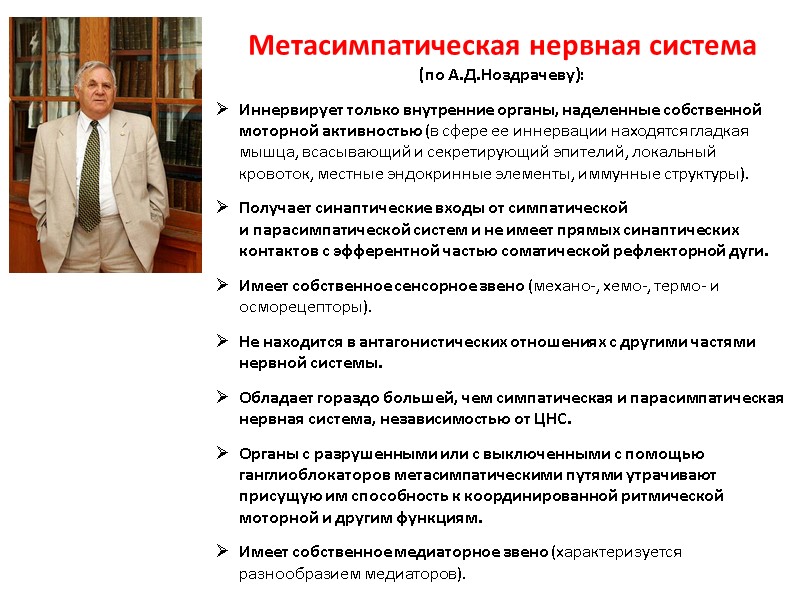 Метасимпатическая нервная система  (по А.Д.Ноздрачеву): Иннервирует только внутренние органы, наделенные собственной моторной активностью